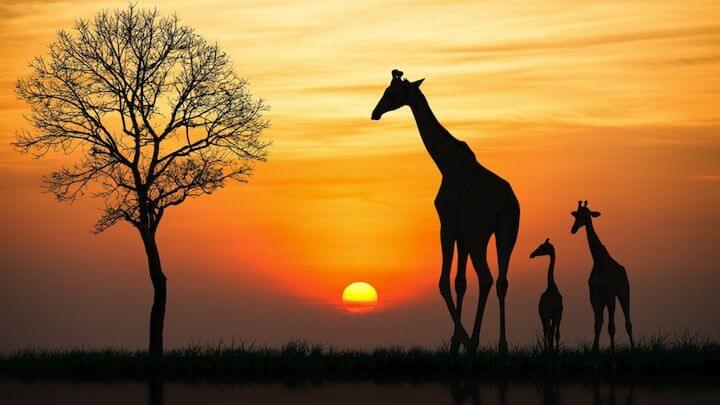 AFRICA DO SUL 2026 GRUPO EXCLUSIVO<div class='subtitulo'>09 dias e 08 noites</div>